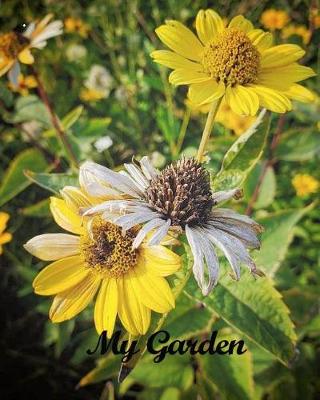 Book cover for My Garden