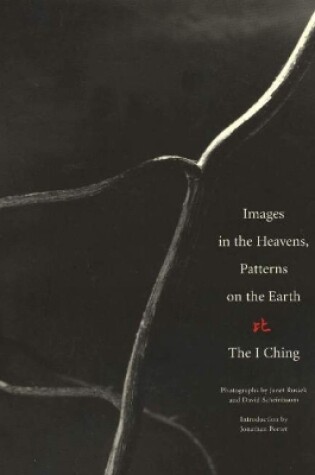 Cover of Images in the Heavens, Patterns on the Earth