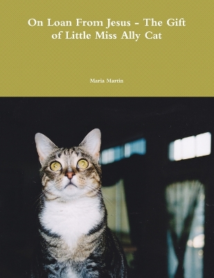 Book cover for On Loan from Jesus - The Gift of Little Miss Ally Cat