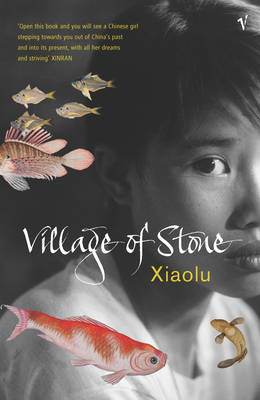 Book cover for Village of Stone