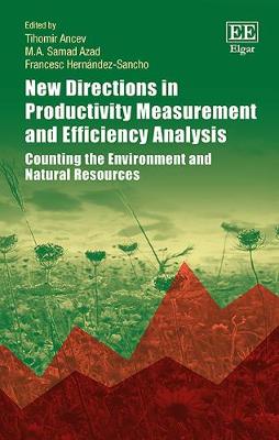 Cover of New Directions in Productivity Measurement and Efficiency Analysis