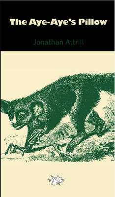 Book cover for The Aye-Aye's Pillow