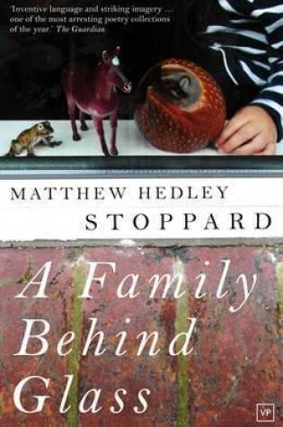 Cover of A Family Behind Glass