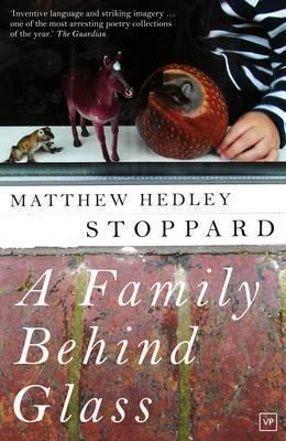 Book cover for A Family Behind Glass