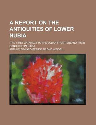 Book cover for A Report on the Antiquities of Lower Nubia; (The First Cataract to the Sudan Frontier) and Their Condition in 1906-7