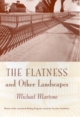 Book cover for The Flatness and Other Landscape