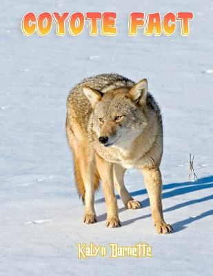 Book cover for Coyote Fact