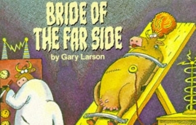 Book cover for Bride Of The Far Side