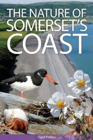 Cover of The Nature of Somerset's Coast