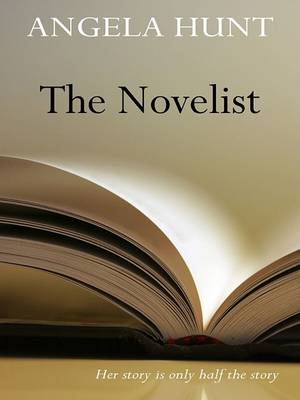 Book cover for The Novelist