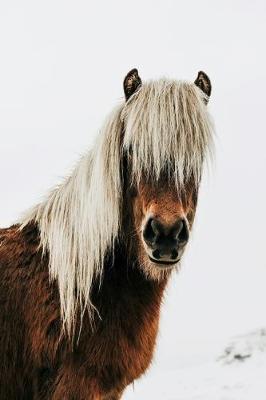 Book cover for Icelandic Horse Journal