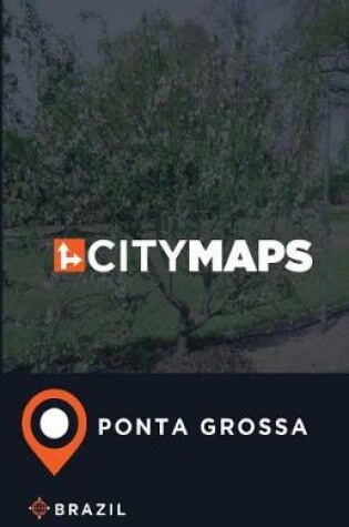 Cover of City Maps Ponta Grossa Brazil