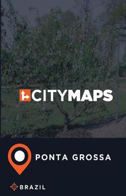 Book cover for City Maps Ponta Grossa Brazil