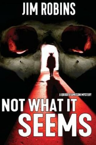 Cover of Not What It Seems