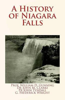 Book cover for A History of Niagara Falls