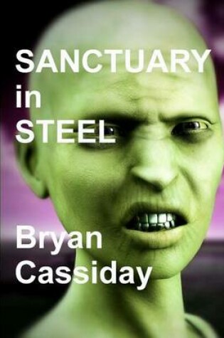 Cover of Sanctuary in Steel