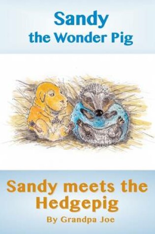 Cover of Sandy Meets the Hedgehog