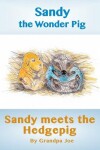 Book cover for Sandy Meets the Hedgehog