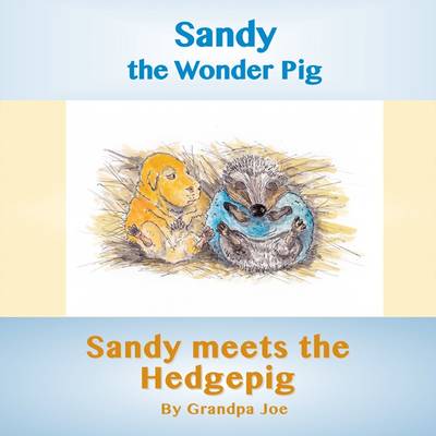 Cover of Sandy Meets the Hedgehog