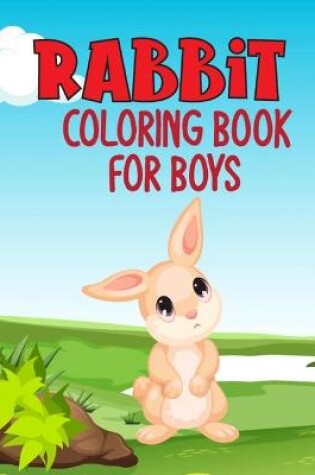 Cover of Rabbit Coloring Book For Boys