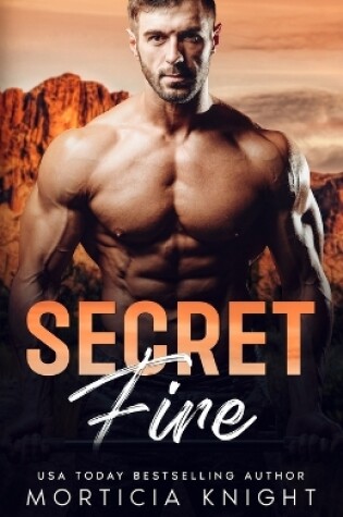 Cover of Secret Fire