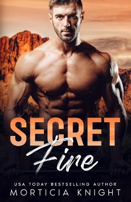 Book cover for Secret Fire