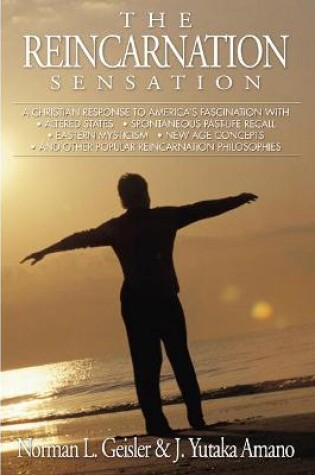 Cover of The Reincarnation Sensation