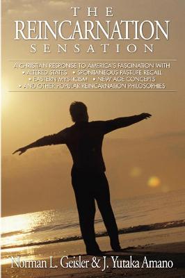 Book cover for The Reincarnation Sensation