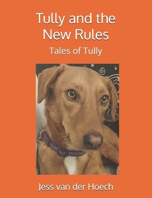 Book cover for Tully and the New Rules