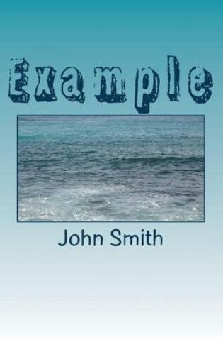 Cover of Example