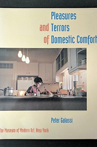 Cover of Pleasures and Terrors of Domestic Comfort