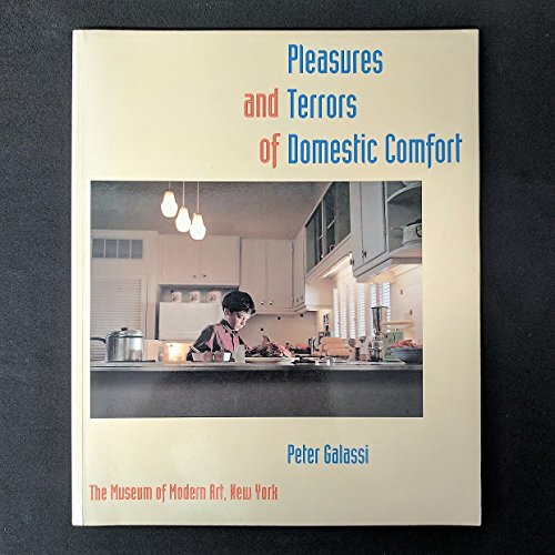 Book cover for Pleasures and Terrors of Domestic Comfort