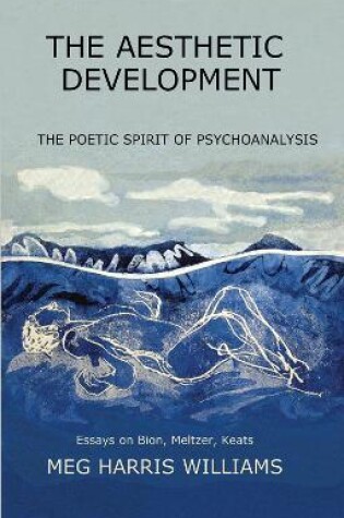 Cover of The Aesthetic Development