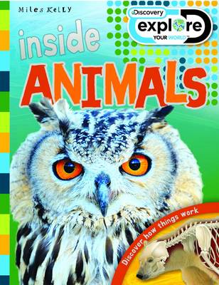 Book cover for Discovery Inside: Animals
