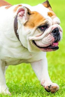 Book cover for English Bulldog On a Walk in Spring Journal