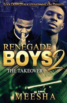 Book cover for Renegade Boys 2