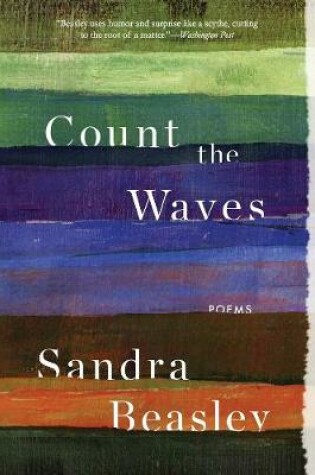 Cover of Count the Waves
