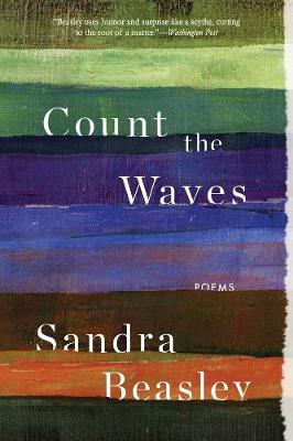 Book cover for Count the Waves