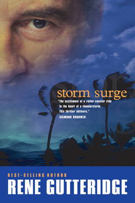 Book cover for Storm Surge