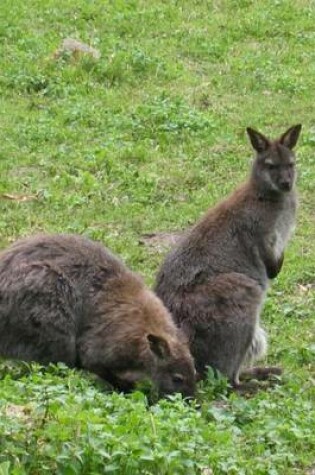 Cover of Cute Wallaby, for the Love of Animals