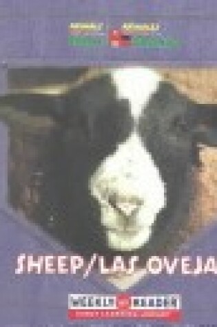 Cover of Sheep / Las Ovejas