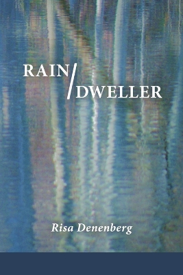 Book cover for Rain / Dweller