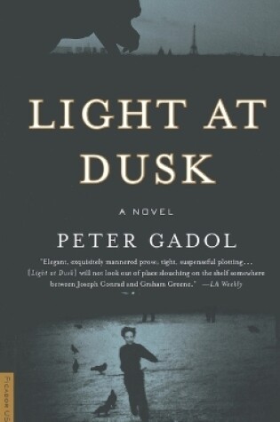 Cover of Light at Dusk