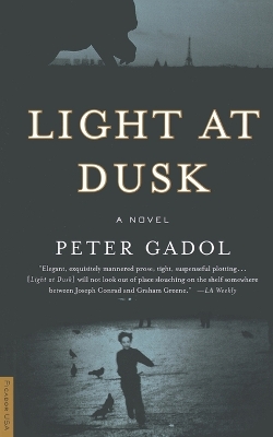 Book cover for Light at Dusk