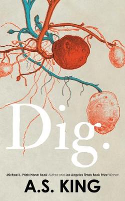 Book cover for Dig