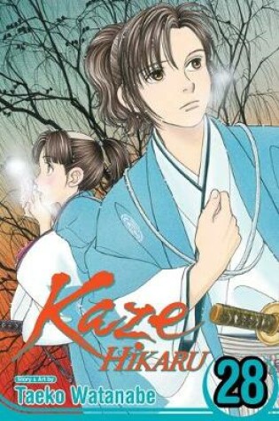 Cover of Kaze Hikaru, Vol. 28