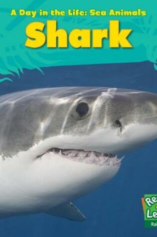 Cover of Shark