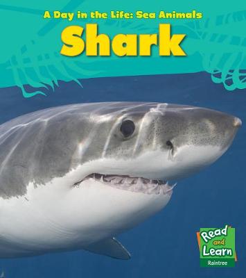 Cover of Shark