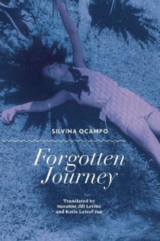 Cover of Forgotten Journey