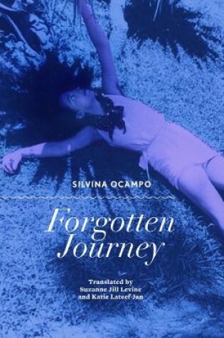 Cover of Forgotten Journey